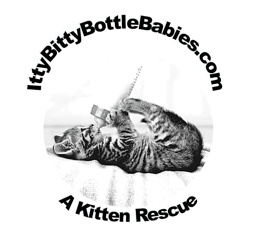 Itty Bitty Bottle Babies, Inc logo