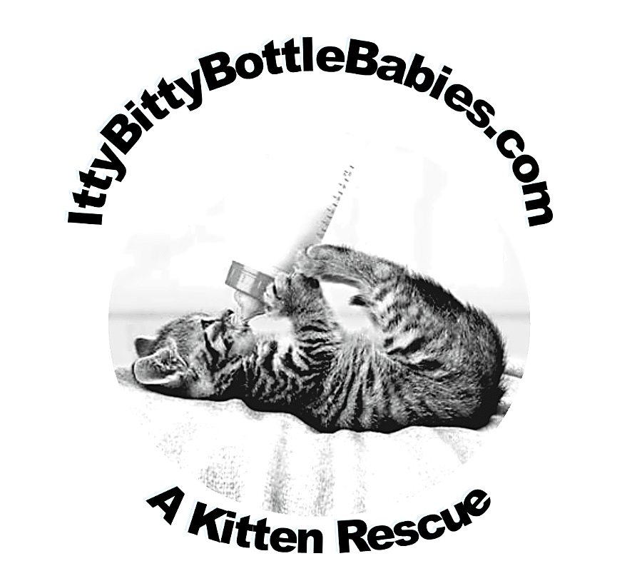 Itty Bitty Bottle Babies, Inc logo
