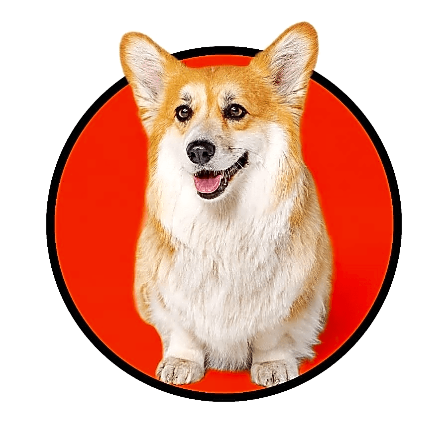Maxine the Fluffy Corgi logo