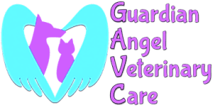 Guardian Angel Veterinary Care logo