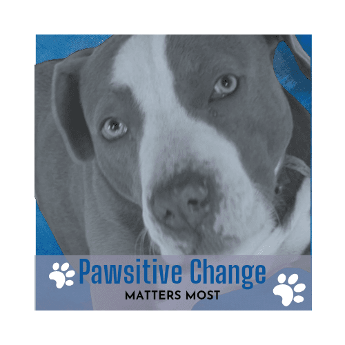 Pawsitive Change Matters Most logo