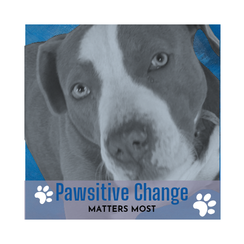 Pawsitive Change Matters Most logo
