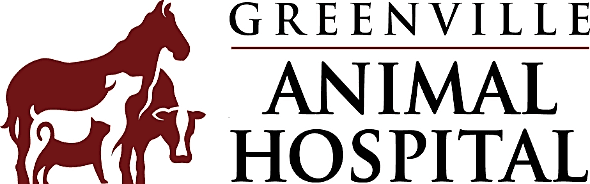 Greenville Animal Hospital logo
