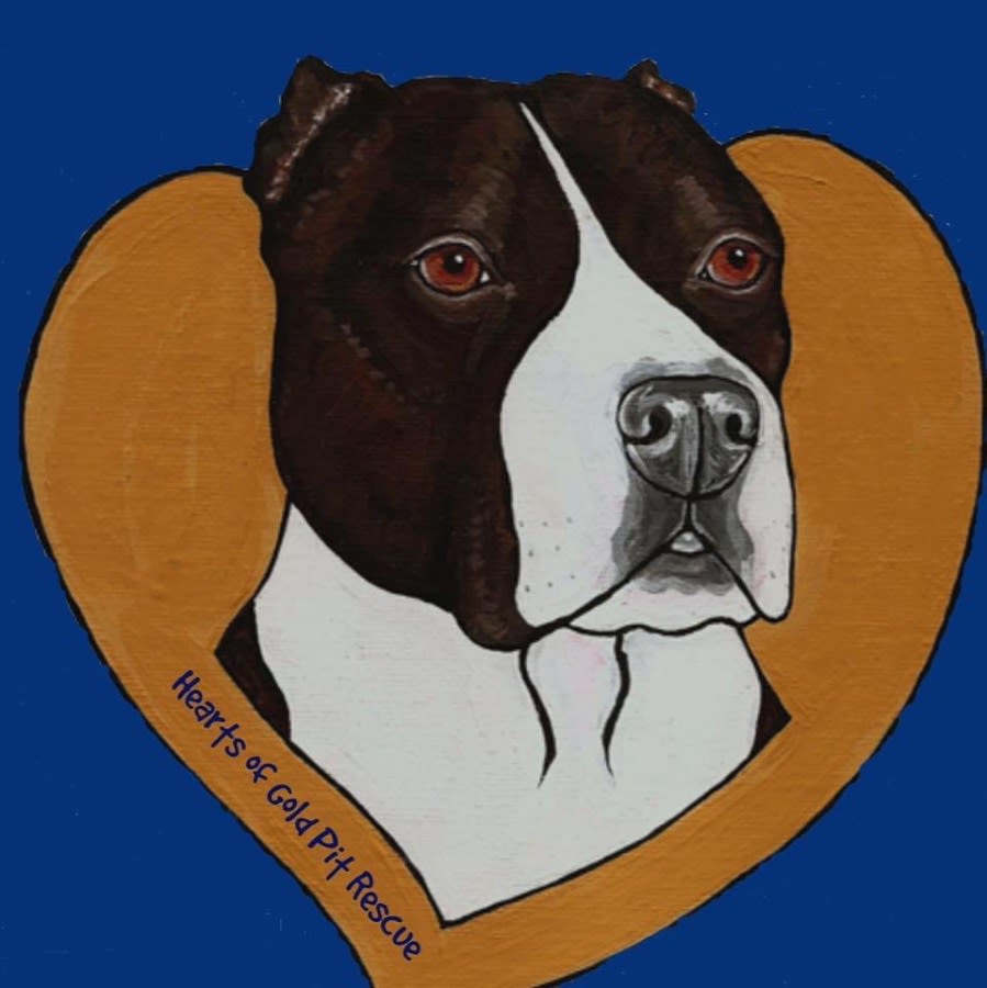 Hearts of Gold Pit Rescue logo