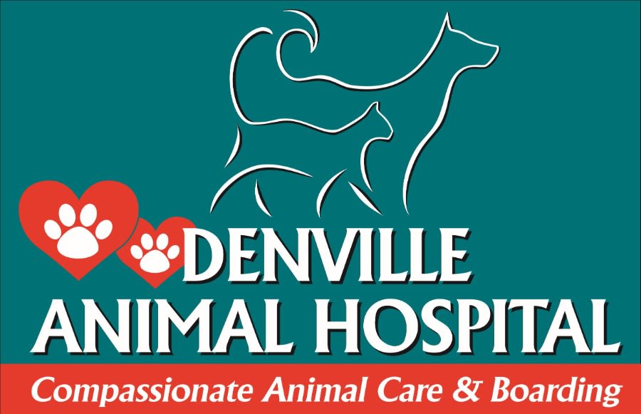 Denville Animal Hospital logo