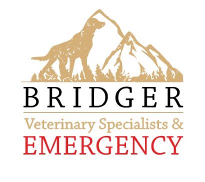 Bridger Veterinary Specialists logo