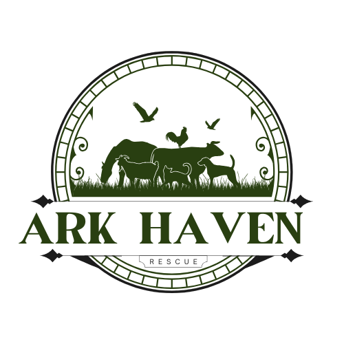 Ark Haven logo