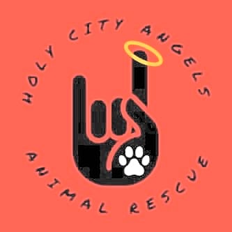 Holy City Angels Animal Rescue logo