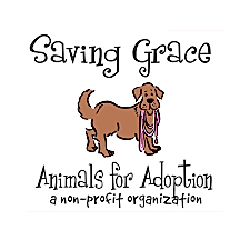 Saving Grace Spay & Neuter Clinic logo