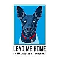 Lead Me Home Animal Rescue and Transport logo