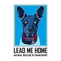 Lead Me Home Animal Rescue and Transport logo
