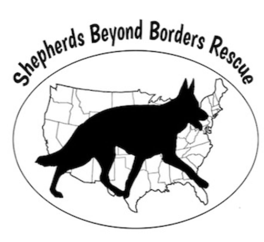 Shepherds Beyond Borders logo