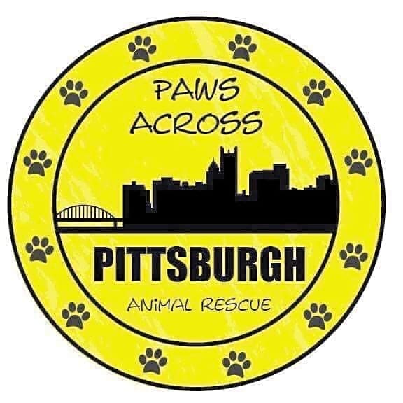 Paws Across Pittsburgh logo