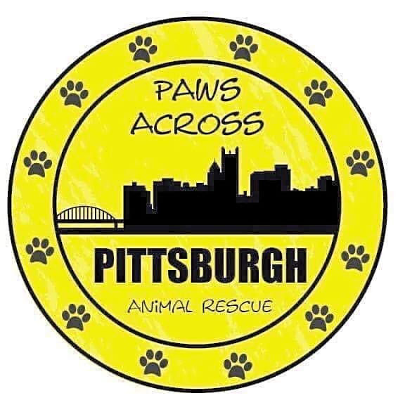 Paws Across Pittsburgh logo