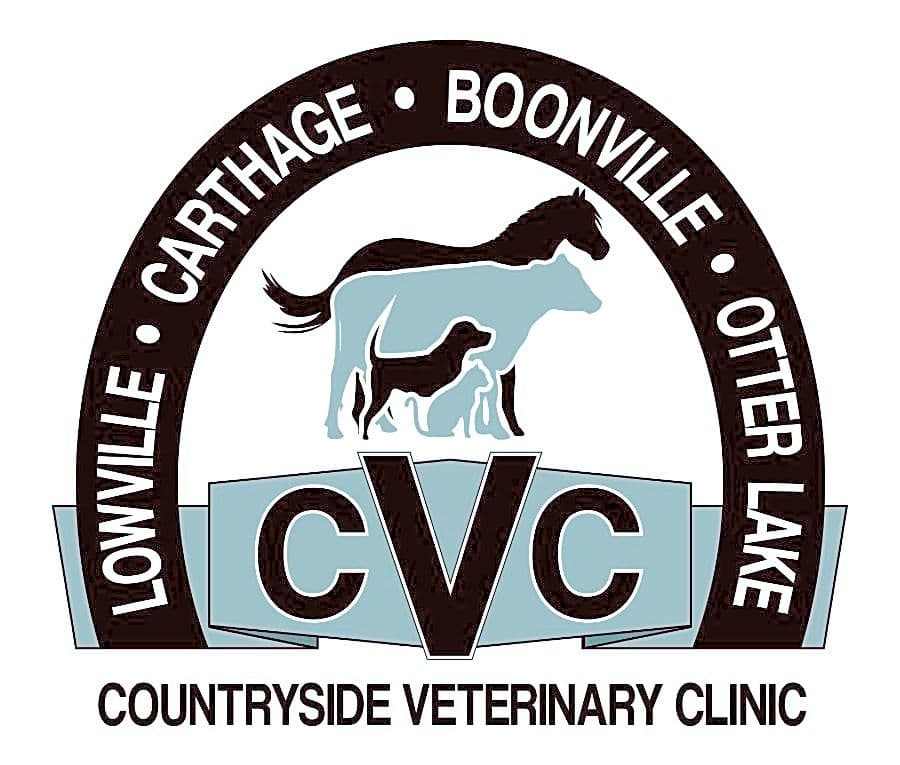 Countryside Veterinary Clinic, LLP logo