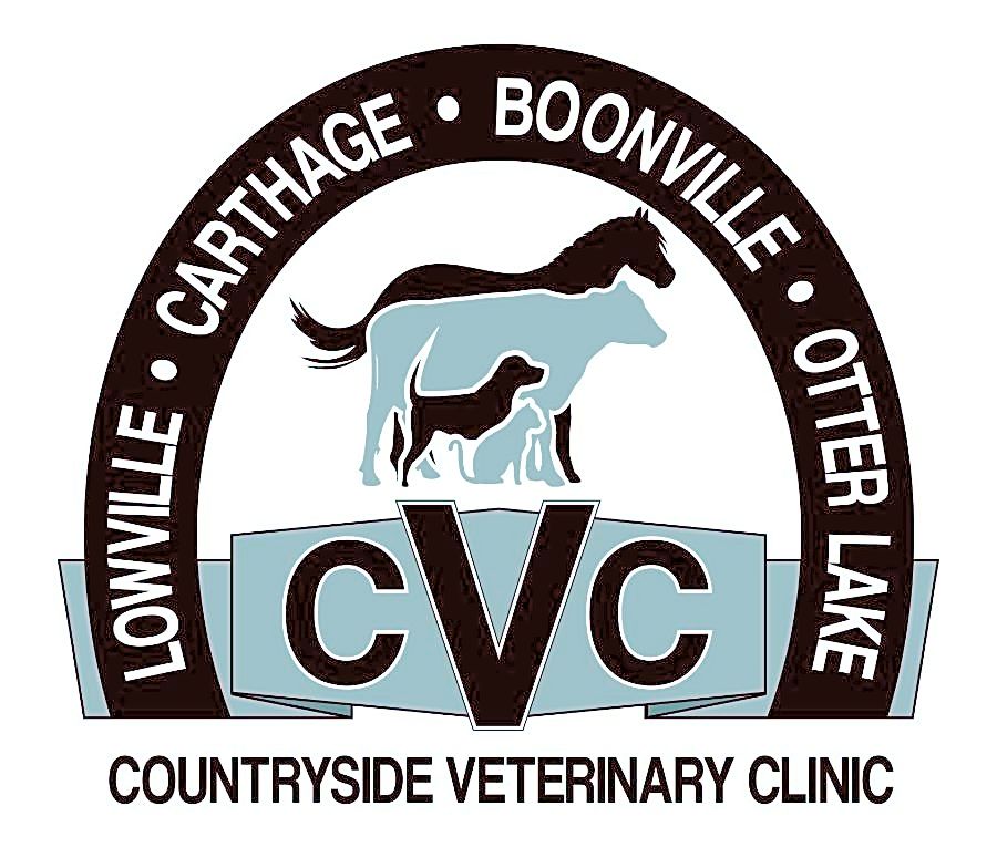 Countryside Veterinary Clinic, LLP logo
