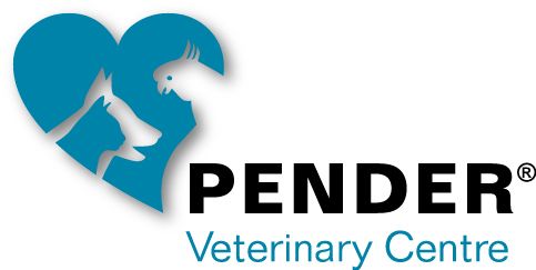 Pender Veterinary Centre - Chantilly logo