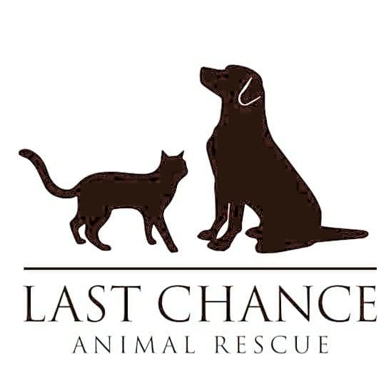 Last Chance Animal Rescue logo
