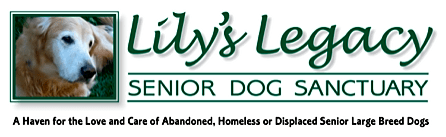 Lily's Legacy Senior Dog Sanctuary logo