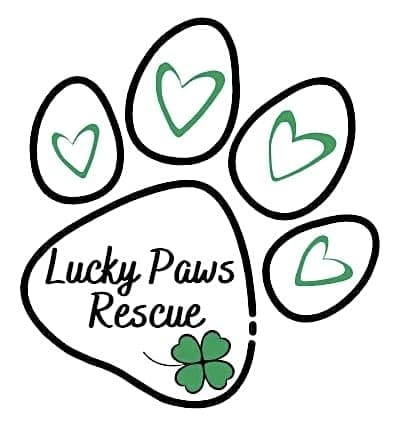 Lucky Paws Rescue Inc logo