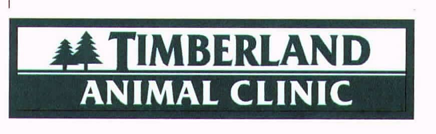 Timberland Animal Clinic Inc logo