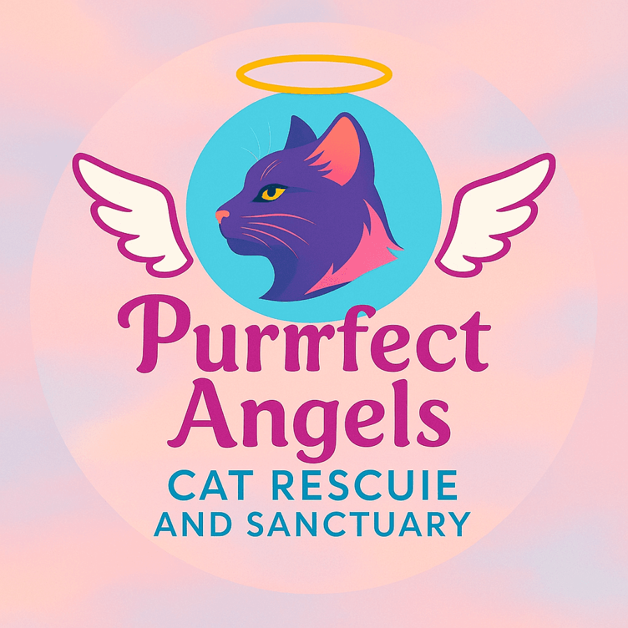 Purrrfect Angels Cat Rescue & Sanctuary logo