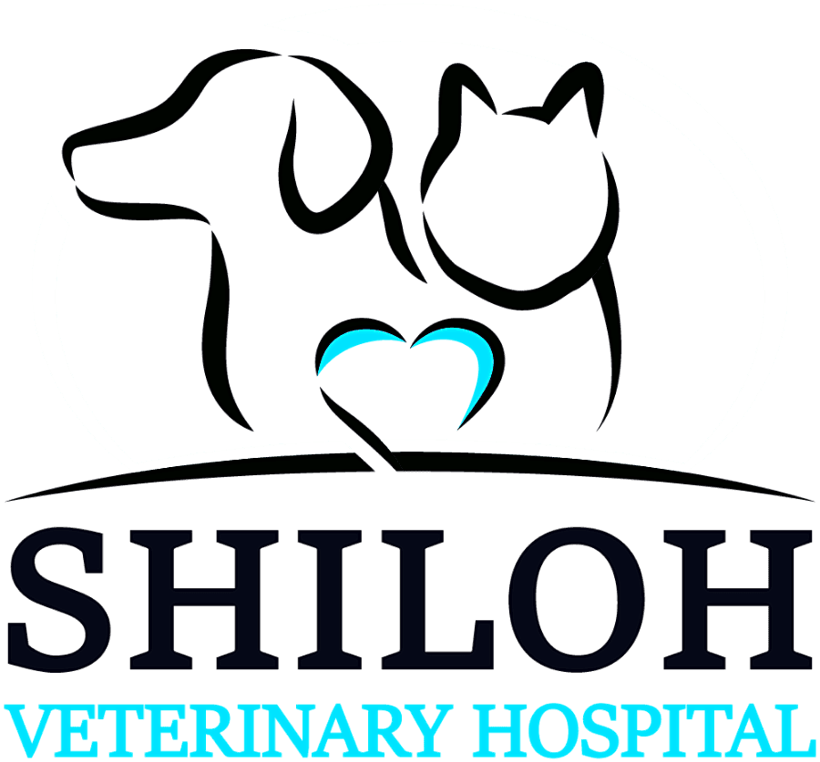 Shiloh Veterinary Hospital logo