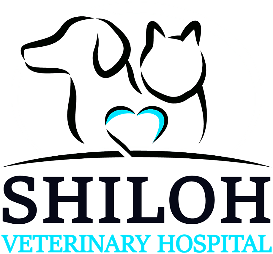 Shiloh Veterinary Hospital logo