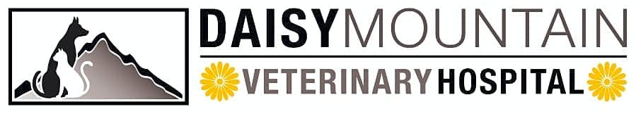 Daisy Mountain Veterinary Hospital logo