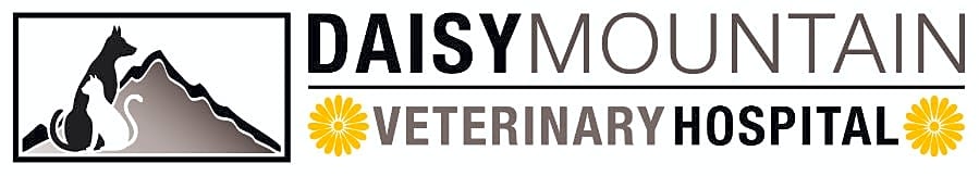 Daisy Mountain Veterinary Hospital logo