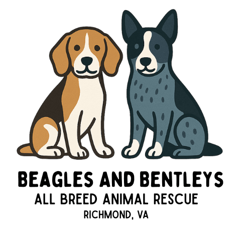 Beagles and Bentleys logo