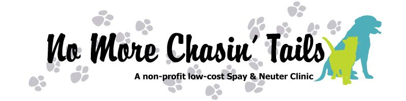 No More Chasin' Tails logo