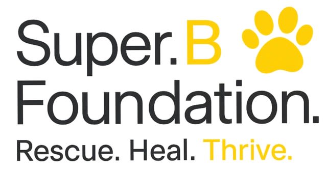 Super B Foundation logo