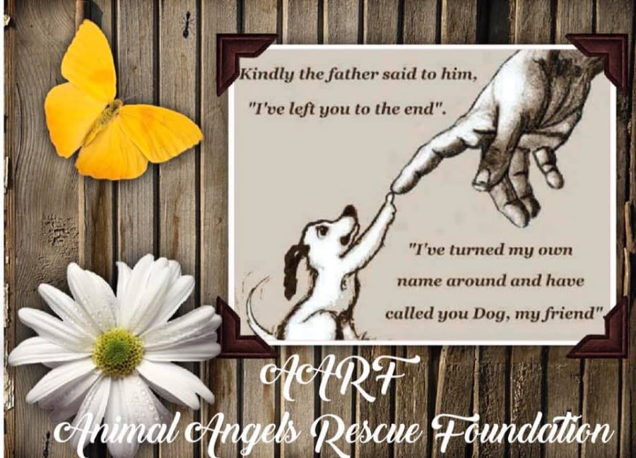 AARF - Animal Angels Rescue Foundation logo
