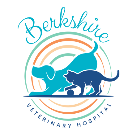 Berkshire Veterinary Hospital logo
