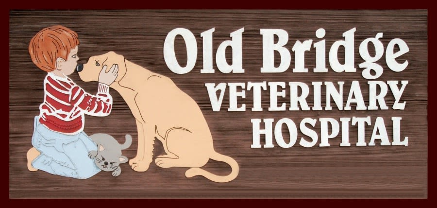 Old Bridge Veterinary Hospital logo