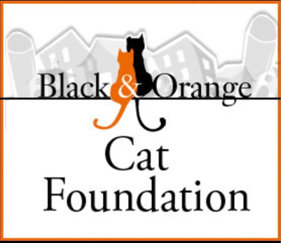Black and Orange Cat Foundation logo