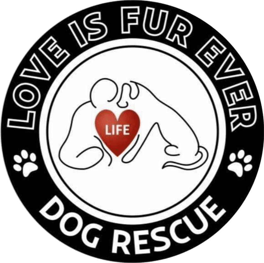 Love Is Fur Ever Dog Rescue logo