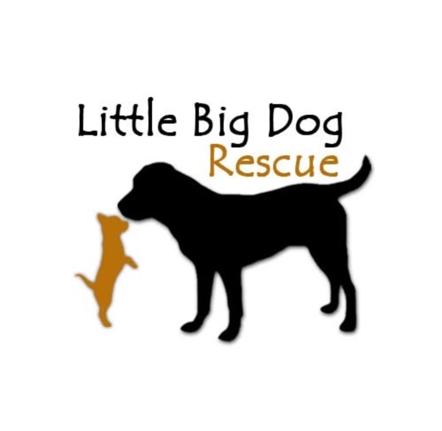 Little Big Dog Rescue logo