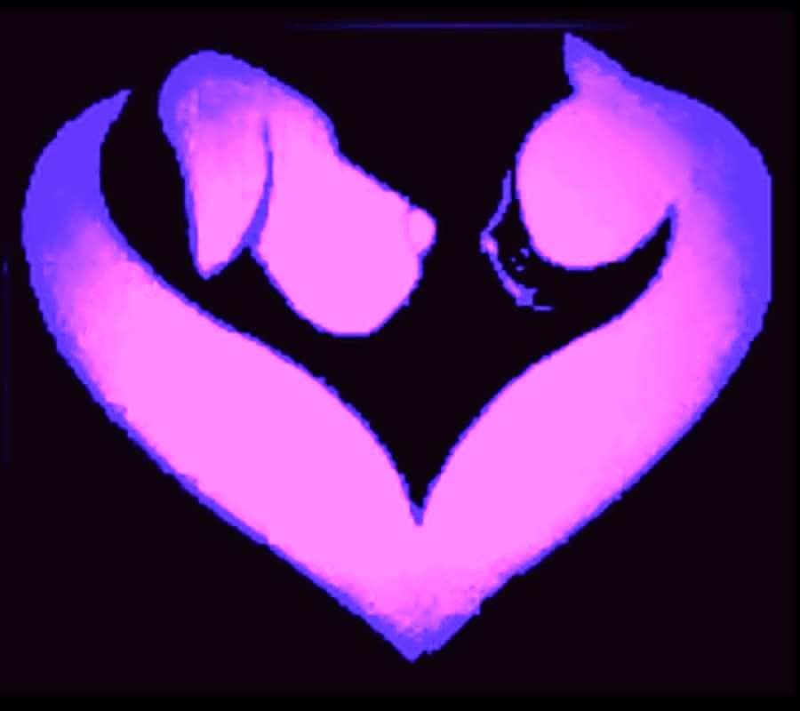 M&M'S FUR-EVER FURBABIES RESCUE logo