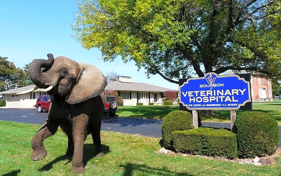 Bourbon Veterinary Hospital logo