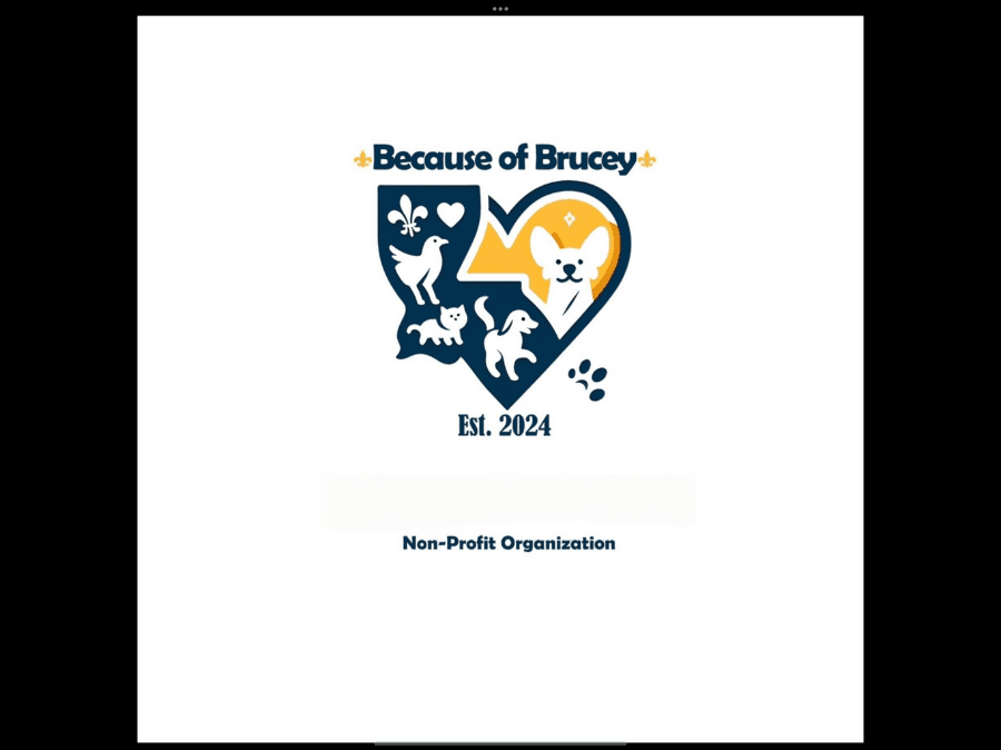 Because Of Brucey logo