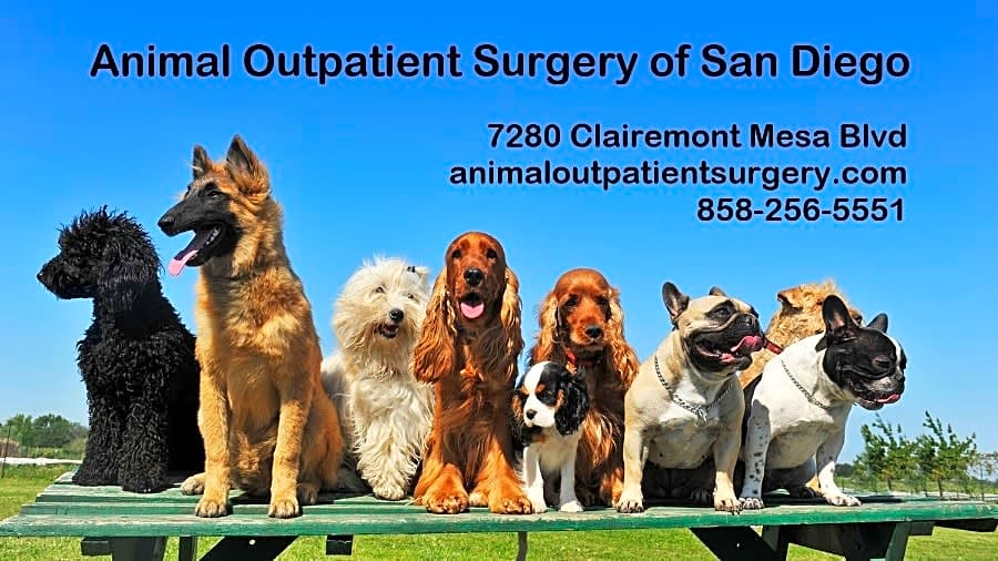 Animal Outpatient Surgery of San Diego and Blue Sky Veterinary Services, Inc. logo