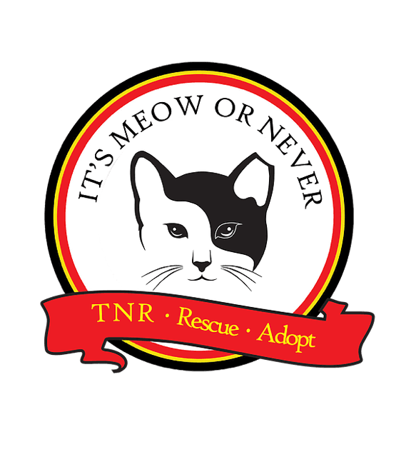 It’s Meow or Never for Ferals, Inc. logo