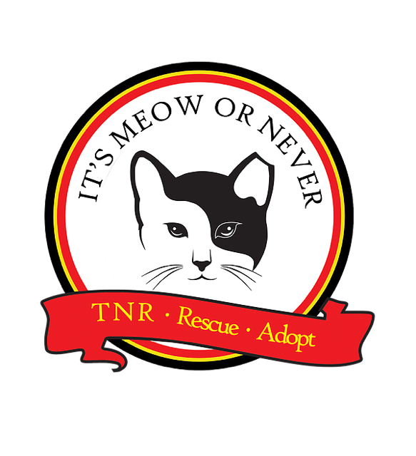 It’s Meow or Never for Ferals, Inc. logo
