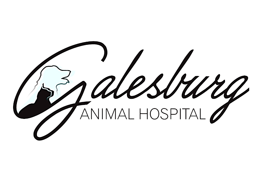 Galesburg Animal Hospital, PC logo