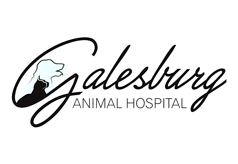 Galesburg Animal Hospital, PC logo