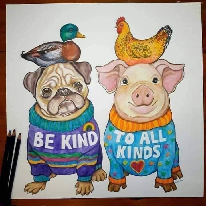 No critter left behind rescue and sanctuary logo