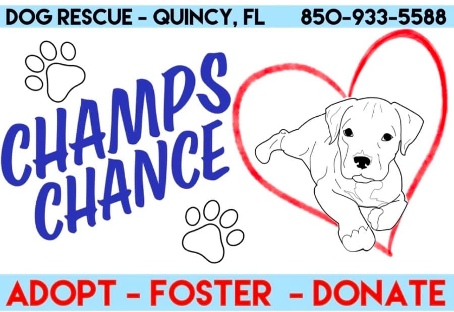 Champs Chance Inc logo