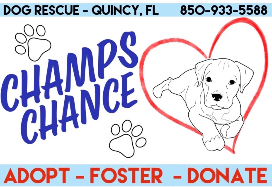 Champs Chance Inc logo